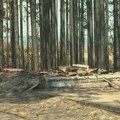 Ни две недеље од пожара, штета није санирана: Гледају куће у згаришту и чекају обећану помоћ