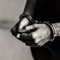 Uhapšen Z. K. (1976) iz okoline Temerina: Policija pretresom vikendice pronašla dve puške i municiju! Uhapšen Z. K. iz okoline…