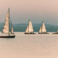 Regata "Vode Vojvodine" 24. juna startuje iz Novog Sada: U toku prijave za učešće