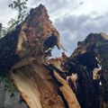 Nevreme u regionu: U Pljevljima pala fasada, slomljena stabla, oštećena vozila, u Nevesinju ulice pobelele od grada