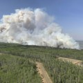 Izbio šumski požar u blizini aerodroma u Nici, vatra zahvatila oblast u blizini auto-puta