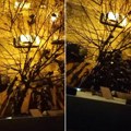 Sevale motke, letele krigle! Jeziva tuča navijača zvezde i sitija! Nemile scene u centru Beograda pred utakmicu (video)
