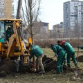 ФОТО: Лимански парк данас и сутра добија нове саднице дрвећа