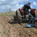 Pravilna upotreba pesticida: Obuka za ratare, voćare i povratare u Privrednoj komori Kraljevo