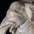 Varvarstvo u srcu Rima: oštećena čuvena Berninijeva skulptura slona