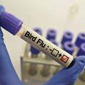 Prvi slučaj ptičjeg gripa H9N2 kod ljudi u Evropi: Potvrđen u Italiji, pacijent u bolnici