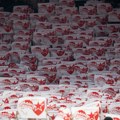 Šta god pojedinci i simpatizeri pričali, ovo je bratstvo veće od bilo kog rezultata: Cela dvorana u Pireju grmela Zvezdino…