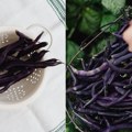Ovo su namirnice koje nutricionisti uvek imaju u frižideru