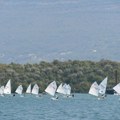 Jedriličarski klub Krtoli sjajno organizovao Solila Kup