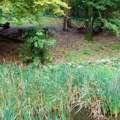 Tužne vesti iz Zoo vrta u Ljubljani: Posle 19 godina oprostili se od dugogodišnjeg stanovnika