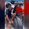 Ово су момци који су уловили џиновску ајкулу у Будви Снимили је изблиза, људи запањени призором: "Шта је следеће, кит?"…