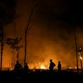 U amazonskim prašumama u Brazilu u avgustu zabeleženi najveći požari za 14 godina