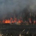 Vanredna situacija zbog šumskih požara u Severnoj i Južnoj Karolini