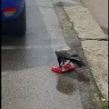 "Aj ti objasni šefu da je vrana ukrala...": Milioni gledaju snimak iz Sarajeva i ne mogu da veruju!