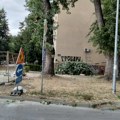 Užas na detelinari Drvo palo na devojčicu i ženu tokom nevremena, hitno prebačene u bolnicu