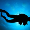 Zanimljiva Izložba o podvodnom svetu otvara se u centru za promociju nauke Posetioci će moći da saznaju sve o ronjenju, a ulaz…