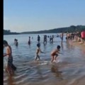 Snimak stravičnog napada pirana šokirao svet: Beba povređena, još šest osoba zadobilo povrede (video)