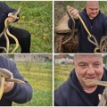 "Raspetljava" ih kao da su kablovi: Neustrašivi Vladica izvukao šest zmija iz šahta, pogledajte kako ih je ukrotio