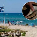Срби се овога највише плаше кад иду на море у Грчку! Пишу казне за лоше паркирање, а за пролаз на црвено спремите 700€!