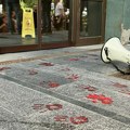 Jedan od uhapšenih aktivista: Na delu je Revolucija dostojanstva