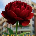 Tradicionalni „Vidovdanski dani“ u hotelu Zlatibor