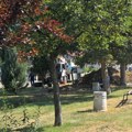 Tako je govorio TGP: Kreni od kuće do redakcije, hiljadu tema! Konvar se vratio! Požuteli LEAP! Prazno granje se i dalje…