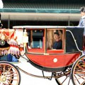 Japanski princ Hisahito obavio obred punoletstva