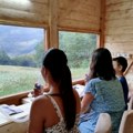 Чуда која стварају пчеле откирли су Руси, а данас се она дешавају и усред шуме на планини Тари