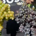Јако је важно: стручњаци позивају људе да одмах ставе грожђе на ово место