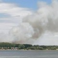 (Foto, video) Požar preko puta Zemunskog keja: Kulja gust, sivi dim, gori nisko rastinje