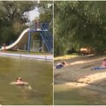 Leto na Tisi puno uživanja: Besplatne ležaljke, termalni bazeni i karte već od 260 dinara