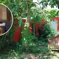 Ranio vlasnika azila za pse u Beogradu, pa pucao i u radnika: Evo šta je rekao osumnjičeni na saslušanju