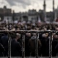 КОЛИКО ЈЕ НИСКА ОГРАДА БОЖИЈЕГ ЗОО ВРТА?