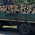 Stanković, ŠG Pirot: Poslednjih par godina povećali smo isporuku ogrevnog drveta, cene nismo menjali