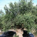Parkirao auto i otišao po kartu, kad se vratio do kola doživeo je šok života - "odrali mu kožu sa leđa" za 120 sekundi na…