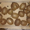 Ovo voće rađa 60 kilograma bez hemije, a nema ga po dvorištima u Kragujevcu: Da li smo postali lenji?