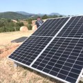 Proizvodnja maline po organskim principima u selu Sušica kod Valjeva