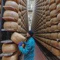 "Ne želimo da budemo poslednja generacija koja ga jede": Kako vrućine utiču proizvodnju parmezana u Italiji