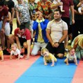 Četvrta Karnevalska trka beba u Leskovcu