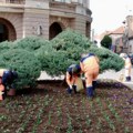 JKP „Mediana“ danas uređuje Niš: Čišćenje ulica, parkova i zelenih površina na više lokacija