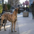 Temepraturni šok od naredne nedelje: Ovaj dan će biti za kratke rukave! Pogledajte prognozu (foto)