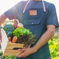 Napredak organske proizvodnje u Srbiji: Najviše je površina pod voćem, najmanje povrća, a evo šta je potrebno unaprediti