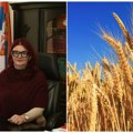 Ns seme- Domaća kompanija čija se pšenica čuva i na Svalbardu! Prof. dr Dragana Latković: Institut za ratarstvo i povrtarstvo…