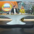 "Rasplet u vezi sa NIS-om mora da se desi u narednih 15-ak dana": Mihajlović i Lakić o energetici, geopolitici i društvu