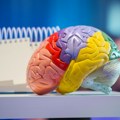 Kako vratiti sećanja iz detinjstva: Naučnici otkrili način