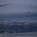 Naftna mrlja zahvatila 12 kilometara obale Omana