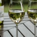 Vino, čuveni pudarski paprikaš i program za sve generacije: Pudarski dani u Irigu od 17. do 19. septembra