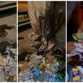 Novosađani sve češće zovu „Gradsku čistoću“! Bace u smeće, a onda shvate šta su uradili: zbog jedne greške novac, dokumenti i…