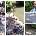 Nakon godinu dana od pomora ribe, reka Raška i dalje zagađena, nivo zagađenja izuzetno velik