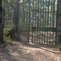 Lav rastrgao čoveka u zoo vrtu: Neviđen užas, turista preskočio ogradu i ušao u kavez, čuvari nisu imali vremena da…